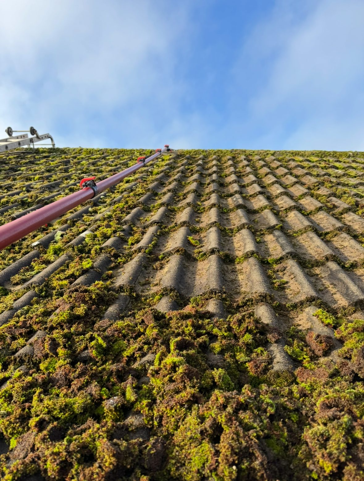 Roof Cleaning before cleaning
